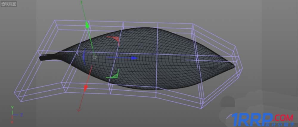 C4D設(shè)計實例教程：C4D畫一片綠色葉子的方法